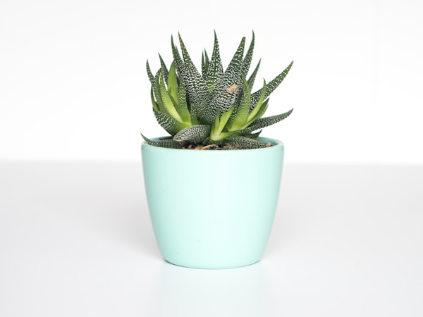 Planters